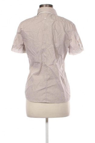 Dámská košile  Eterna, Velikost M, Barva Vícebarevné, Cena  122,00 Kč