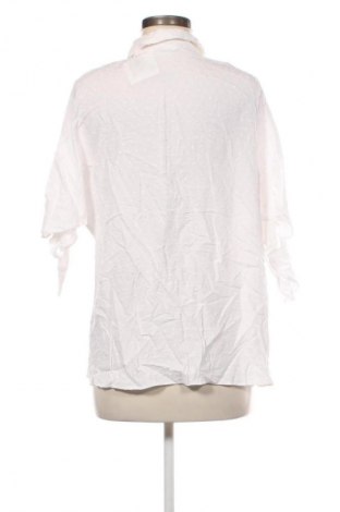 Damenbluse Papaya, Größe M, Farbe Weiß, Preis € 3,99