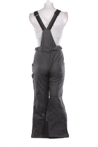 Dámská kombinéza pro zimní sporty  Crane, Velikost M, Barva Šedá, Cena  1 449,00 Kč