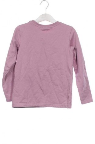 Dziecięca bluzka Lupilu, Rozmiar 4-5y/ 110-116 cm, Kolor Popielaty róż, Cena 28,99 zł
