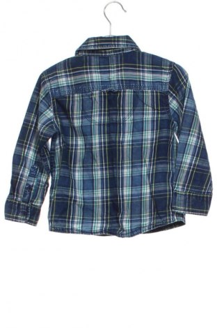 Dziecięca koszula Mantaray, Rozmiar 2-3m/ 56-62 cm, Kolor Kolorowy, Cena 21,84 zł