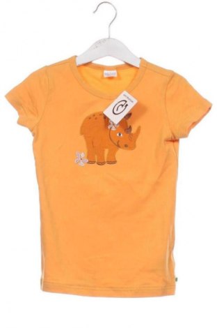Dziecięcy T-shirt GREEN COTTON, Rozmiar 3-4y/ 104-110 cm, Kolor Pomarańczowy, Cena 41,66 zł