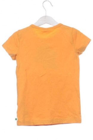 Dziecięcy T-shirt GREEN COTTON, Rozmiar 3-4y/ 104-110 cm, Kolor Pomarańczowy, Cena 41,66 zł