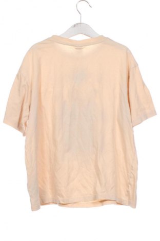 Kinder T-Shirt Harry Potter, Größe 10-11y/ 146-152 cm, Farbe Mehrfarbig, Preis € 8,99