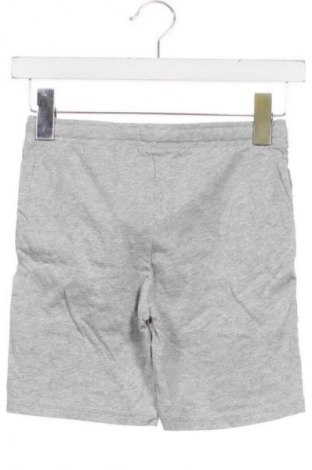 Dziecięce szorty H&M, Rozmiar 8-9y/ 134-140 cm, Kolor Szary, Cena 38,99 zł