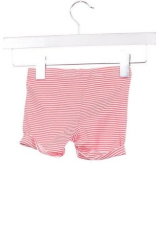 Dziecięce szorty Lupilu, Rozmiar 18-24m/ 86-98 cm, Kolor Kolorowy, Cena 7,99 zł