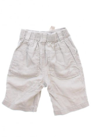Dziecięce szorty Next, Rozmiar 12-18m/ 80-86 cm, Kolor Szary, Cena 12,99 zł