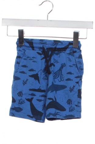 Dziecięce szorty Unbranded, Rozmiar 2-3y/ 98-104 cm, Kolor Kolorowy, Cena 26,97 zł