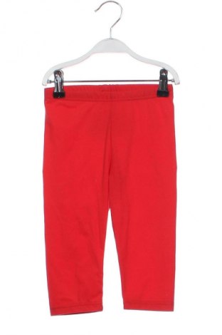 Dziecięce legginsy Unbranded, Rozmiar 5-6y/ 116-122 cm, Kolor Czerwony, Cena 23,22 zł