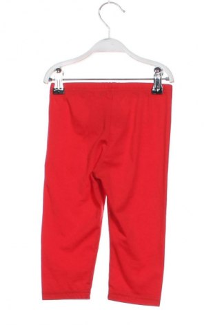 Dziecięce legginsy Unbranded, Rozmiar 5-6y/ 116-122 cm, Kolor Czerwony, Cena 23,22 zł