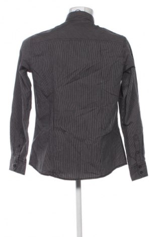 Herrenhemd Tom Tailor, Größe M, Farbe Mehrfarbig, Preis € 21,99