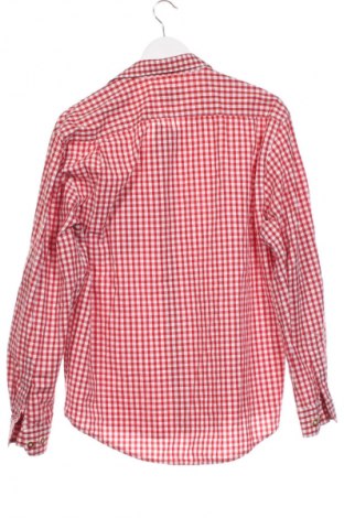 Herrenhemd Unbranded, Größe M, Farbe Mehrfarbig, Preis € 3,99