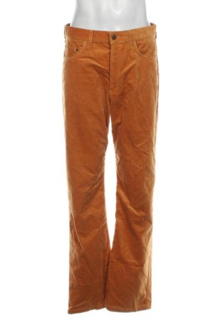 Herren Cordhose Bogner, Größe L, Farbe Gelb, Preis € 48,99