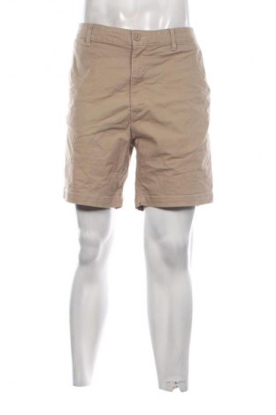 Herren Shorts H&M, Größe XL, Farbe Beige, Preis € 8,99