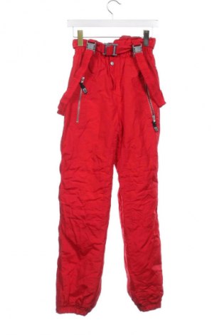 Herrenhose für Wintersport Astrolabio, Größe S, Farbe Rot, Preis € 60,99