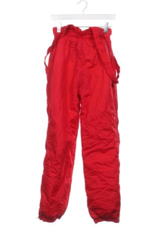 Herrenhose für Wintersport Astrolabio, Größe S, Farbe Rot, Preis € 60,99