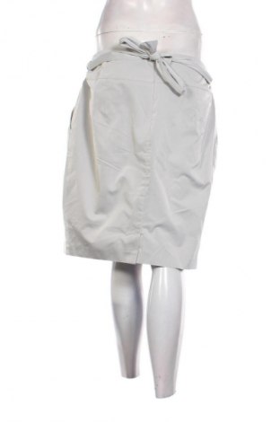 Sukňa Unbranded, Veľkosť M, Farba Sivá, Cena  1,95 €