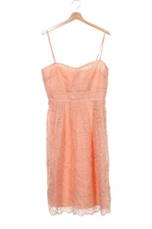 Kleid Boohoo, Größe L, Farbe Rosa, Preis 13,74 €