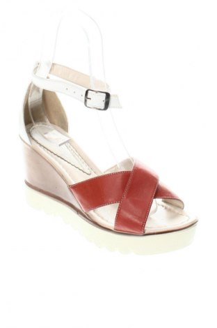 Σανδάλια Unbranded, Μέγεθος 37, Χρώμα Πολύχρωμο, Τιμή 15,99 €