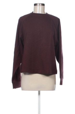 Bluză de femei Mango, Mărime XL, Culoare Mov, Preț 62,99 Lei, #137905231