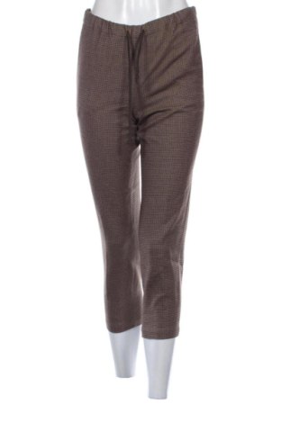 Damenhose Babaton, Größe S, Farbe Braun, Preis € 27,00, #137884430
