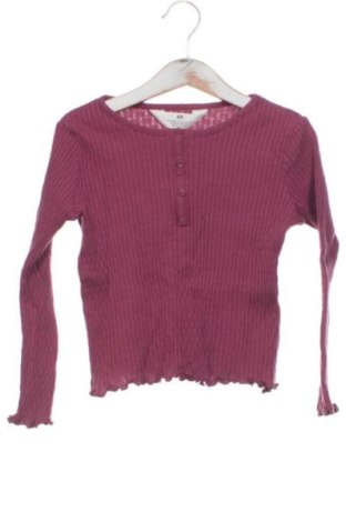 Gyerek blúz H&M, Méret 4-5y / 110-116 cm, Szín Lila, Ár 2 128 Ft, #137932614