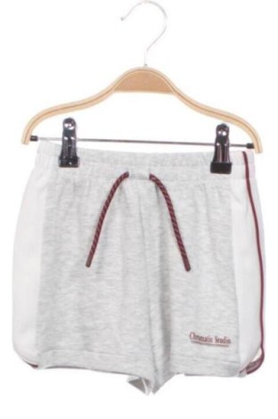 Kinder Shorts Zara, Größe 5-6y/ 116-122 cm, Farbe Grau, Preis 11,62 €, #137924848