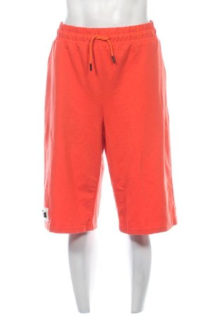Pantaloni scurți de bărbați Unbranded, Mărime L, Culoare Portocaliu, Preț 78,74 Lei, #137929409
