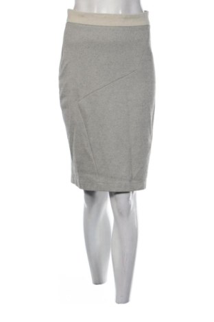 Φούστα Tani, Μέγεθος S, Χρώμα Γκρί, Τιμή 7,00 €, #137902237