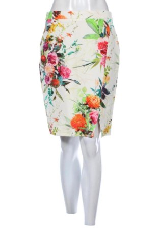 Fustă Oasis, Mărime M, Culoare Multicolor, Preț 78,74 Lei, #137904041