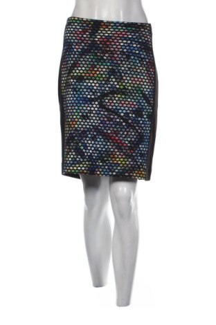 Fustă Biba, Mărime XL, Culoare Multicolor, Preț 36,74 Lei, #137908885