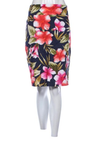 Fustă Zebra, Mărime XL, Culoare Multicolor, Preț 30,00 Lei, #137934002