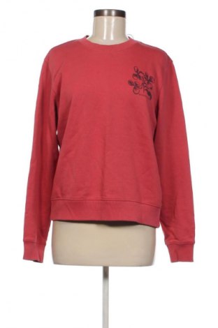 Damen Shirt Scotch & Soda, Größe M, Farbe Rot, Preis € 90,99, #133796982