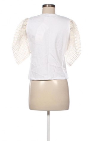 Damen Shirt Zara, Größe S, Farbe Mehrfarbig, Preis 30,99 €