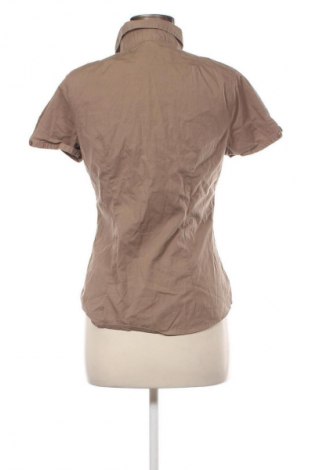 Damenbluse Montego, Größe M, Farbe Braun, Preis € 4,99