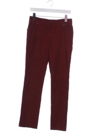 Dámske menčestráky Unbranded, Veľkosť S, Farba Hnedá, Cena  1,95 €