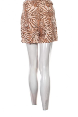 Damen Shorts Maison Scotch, Größe S, Farbe Mehrfarbig, Preis 42,99 €