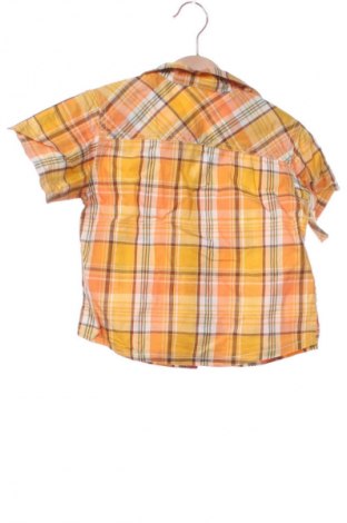 Dziecięca koszula Bambino Mio, Rozmiar 12-18m/ 80-86 cm, Kolor Kolorowy, Cena 8,99 zł