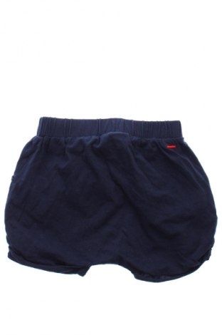 Dziecięce szorty Castro, Rozmiar 9-12m/ 74-80 cm, Kolor Niebieski, Cena 6,99 zł
