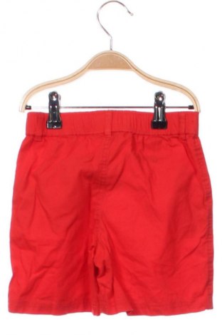 Dziecięce szorty Lupilu, Rozmiar 4-5y/ 110-116 cm, Kolor Czerwony, Cena 9,99 zł