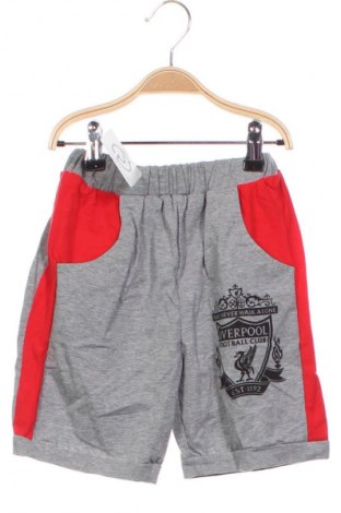 Παιδικό κοντό παντελόνι Unbranded, Μέγεθος 6-7y/ 122-128 εκ., Χρώμα Πολύχρωμο, Τιμή 3,99 €