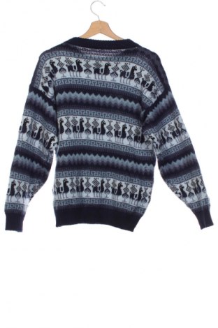 Детски пуловер Unbranded, Размер 14-15y/ 168-170 см, Цвят Многоцветен, Цена 4,09 €