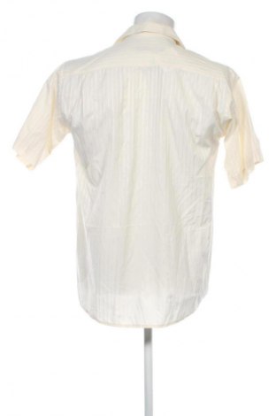 Herrenhemd Tommy Hilfiger, Größe L, Farbe Mehrfarbig, Preis € 22,99