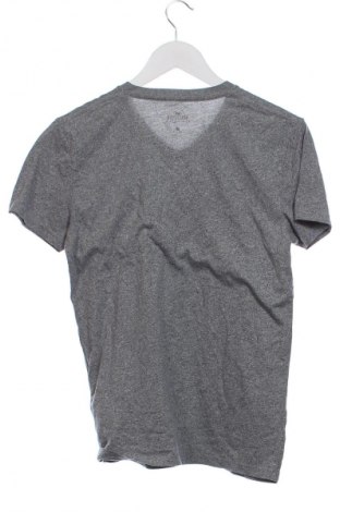 Herren T-Shirt Hollister, Größe XS, Farbe Grau, Preis € 9,99