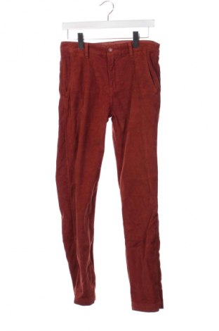 Férfi kordnadrág Levi's, Méret S, Szín Barna, Ár 9 799 Ft