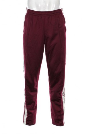 Herren Sporthose Adidas, Größe L, Farbe Lila, Preis € 58,99