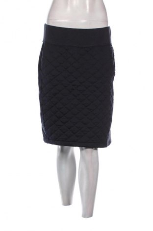 Sukně Anna, Velikost M, Barva Modrá, Cena  49,00 Kč