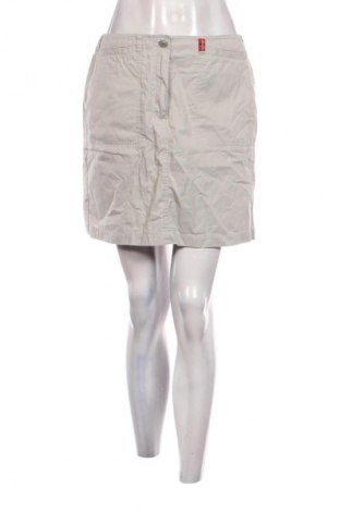 Φούστα Esprit, Μέγεθος M, Χρώμα Γκρί, Τιμή 4,99 €