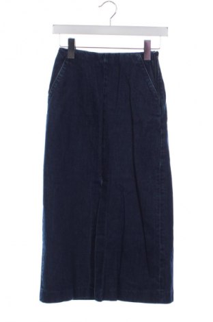 Fustă Zara, Mărime XS, Culoare Albastru, Preț 57,99 Lei