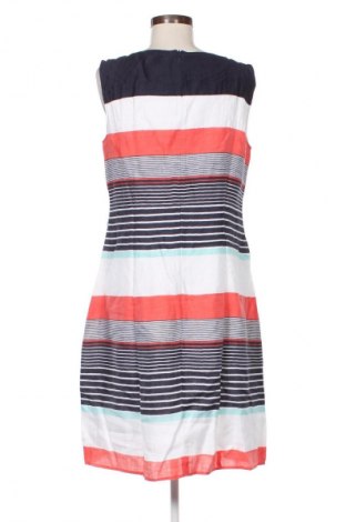 Kleid Betty Barclay, Größe L, Farbe Mehrfarbig, Preis 34,99 €